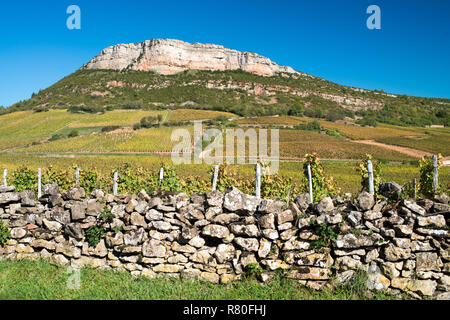 Vergisson (Ostfrankreich). Reben des "Mâconnais" Bereich mit der Roche de Solutre (Rock von solutre und den blauen Himmel im Hintergrund Stockfoto