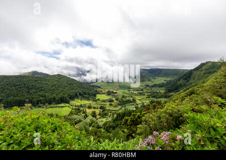 Blumen und schönen Wiesen in der Nähe von Sete Cidades auf Sao Miguel. Stockfoto