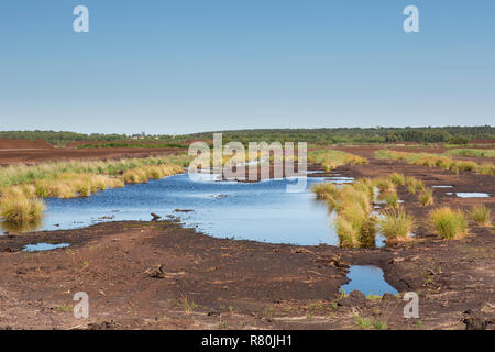 Torfgewinnung auf Totes Moor. Niedersachsen, Deutschland Stockfoto
