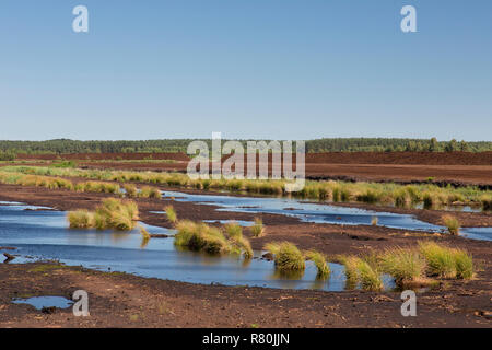 Torfgewinnung auf Totes Moor. Niedersachsen, Deutschland Stockfoto