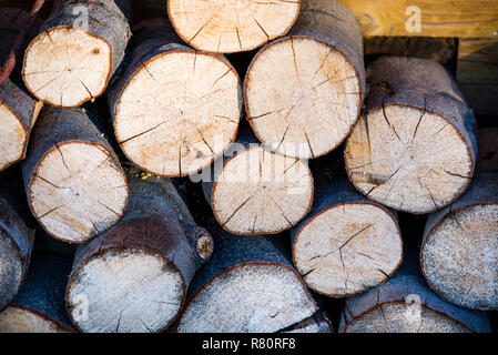 Runde Brennholz, in Woodpile gestapelt, Textur Stockfoto