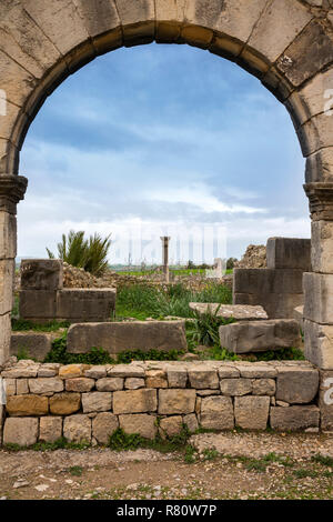 Mc 480 Marokko, Meknes, Volubilis Roman Site, Aussicht über eine der drei Bögen auf der Main Street Stockfoto