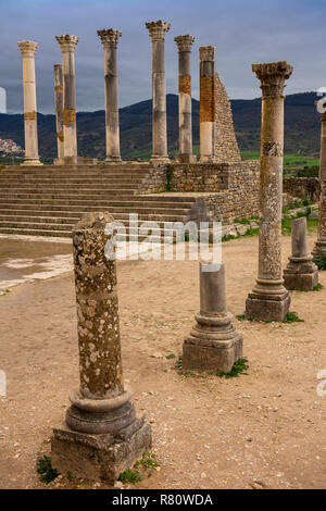 Marokko, Meknes, Volubilis Roman Site, Spalte im Capitol Gebäude Ruinen, Stockfoto