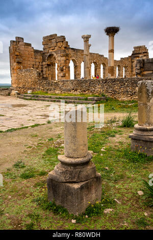 Marokko, Meknes, Volubilis Roman Site, Broken Column außerhalb des Capitol Gebäude Ruinen, Stockfoto