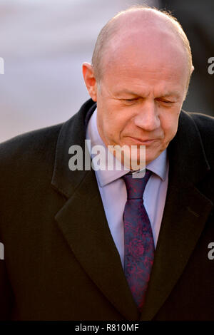 Damian Green MP (konservativ: Ashford) auf College Green, Westminster, Dezember 2018 Stockfoto