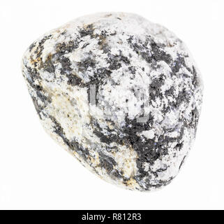 Makrofotografie von natürlichen Mineral aus geologische Sammlung - pebbe von Diorit Stein auf weißem Hintergrund Stockfoto