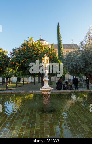 Brunnen im Patio de Los Naranjos, orange Quadrat, ehemaliger Kalifat Innenhof, e Teich, Moschee, die Kathedrale von Cordoba, Andalusien, Spanien. Stockfoto