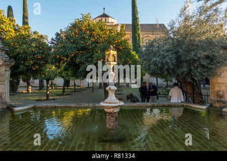 Brunnen im Patio de Los Naranjos, orange Quadrat, ehemaliger Kalifat Innenhof, e Teich, Moschee, die Kathedrale von Cordoba, Andalusien, Spanien. Stockfoto