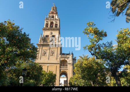 Glockenturm (Torre Campanario) an der Plaza de los Naranjos, Moschee Kathedrale von Cordoba, Andalusien, Spanien. Stockfoto
