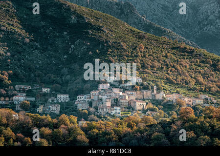 Das alte Dorf von Nessa beleuchtet durch die Nachmittagssonne und durch die herbstlichen Bäume in der Balagne Korsika umgeben Stockfoto