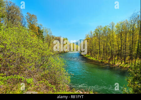 Mittlere Gabel des Willamette River, für die grünen Wasser in Oak Ridge, Tennessee bekannt Stockfoto