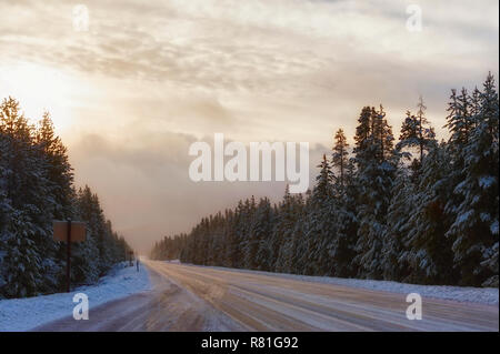 Am frühen Morgen Sonnenlicht reflektiert der Schnee rasante einsame Ausdehnung der Landstraße 58 in der Nähe von Willamette Pass in Oregon. Stockfoto