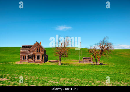 Dufur, Oregon, USA - 28. März 2016: Alte abgebrochener Gehöft in den zentralen Oregon. Stockfoto