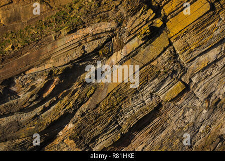 Muster und Falten in Sandsteinfelsen, Orkney Stockfoto