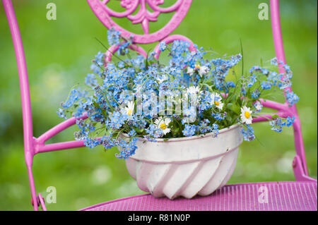 Frühling Blumen in einer alten Kuchenform auf einem Garten Stuhl Stockfoto