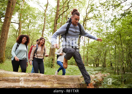 Multi-ethnische Gruppe von fünf jungen Erwachsenen Freunde läuft in einem Wald und springen über umgefallene Baum während einer Wanderung Stockfoto