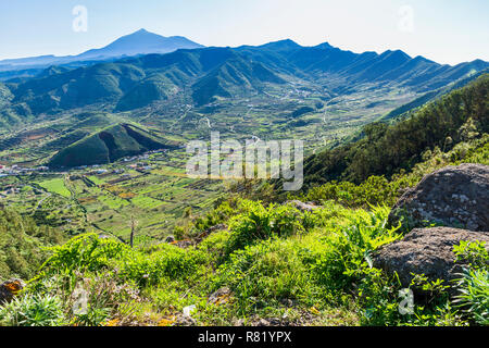 Mit Blick auf den Flickenteppich von Terrassen und Felder in der Palmaren Tal von Teno in der Landwirtschaft im Nordwesten von Teneriffa, Kanarische Inseln, Spanien Stockfoto