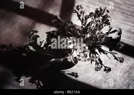 Blumenstrauß aus der frischen Blumen im Glas Stockfoto