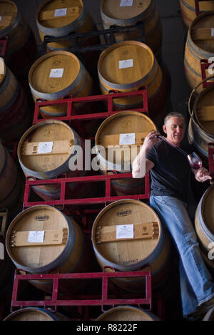 Mitte der erwachsene Mann gießt ein Glas Rotwein aus der Flasche beim Stehen neben Holz- Weinfässer. Stockfoto