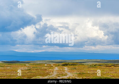 Wanderweg in einem Moor zu den Horizont Stockfoto