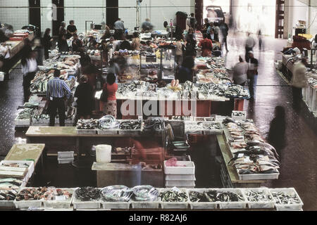 Der Fischmarkt, Caldas da Rainha, Provinz Estremadura, Bezirk von Leiria, Oeste, Portugal, Europa Stockfoto