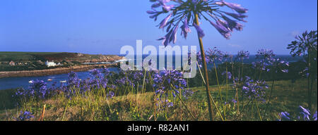 Alte Stadt-Bucht. St Marys. Isles of Scilly. Cornwall. England. UK Stockfoto