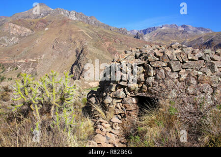 Pre-Inka Rundhaus benannt Colca in der Nähe von Chivay in Peru. Colcas sind kreisförmige Stein-Strukturen für die Lagerung von Lebensmitteln oder Bestattungen verwendet. Stockfoto