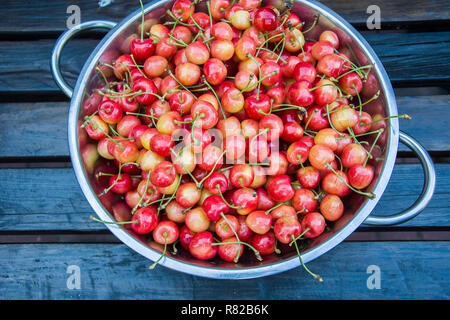 Rot-gelb frisch und glänzend Kirschen in einem Sieb auf einen hölzernen Tisch. Stockfoto