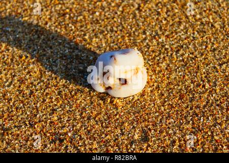 Kiesel im Sand Stockfoto
