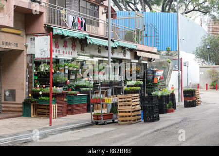 KOWLOON, HONG KONG - 21. APRIL 2017: Florist Shops an den Blumen Markt in Kowloon, Hong Kong. Stockfoto
