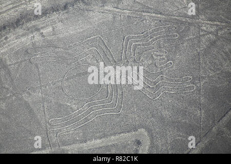 Luftaufnahme von Nazca-Linien - Spider Geoglyph, Peru. Die Linien wurden im Jahr 1994 als UNESCO-Weltkulturerbe ausgewiesen. Stockfoto