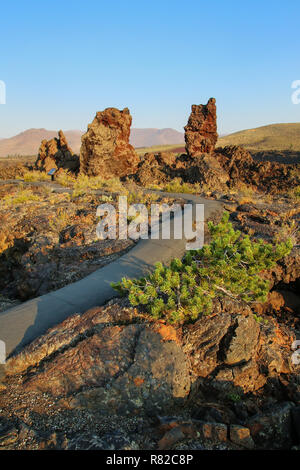 Schlackenkegel an der North Crater Flow Trail, Krater des Mondes National Monument, Idaho, USA Stockfoto