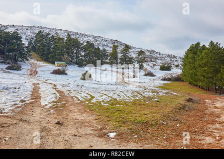 Landschaftlich schöne Aussicht auf verschneite Wald mit hohen Kiefern im Winter in Parnitha Berg, Griechenland, Grußkarten Weihnachten in der Saison Stockfoto