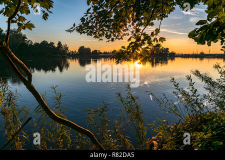 Laub und den Stamm eines Baumes an der Seite des Sees sind wunderschön durch die untergehende Sonne beleuchtet. In der Nähe der Ufer eines Sees in der Nähe von Gouda, Niederlande. Stockfoto