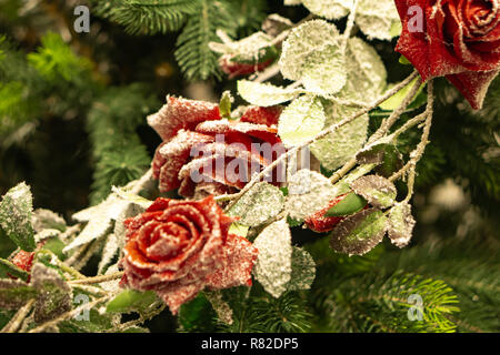 Ein Blumengebinde. Tannenzweigen, Fichte Kegel und rote Rosen im Schnee in der Kälte. Weihnachten noch Leben Stockfoto