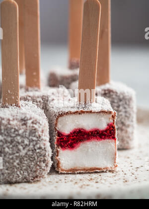 Hausgemachte raw lamington Eis springt auf hellen Hintergrund. Australische süße Nachspeise lamington mit Chia und Himbeeren Marmelade, Schokolade und Kakao. Veganes essen Rezept und Idee. Kopieren Sie Platz. Nahaufnahme Stockfoto