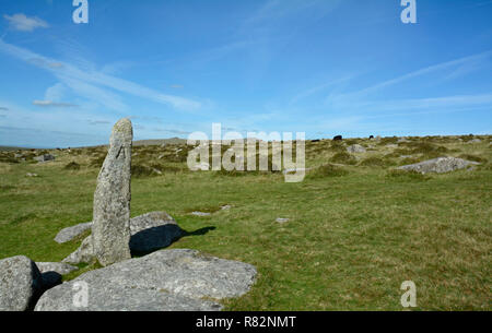 Standing Stone auf Longash Gemeinsamen in der Nähe von Merrivale, Dartmoor Stockfoto