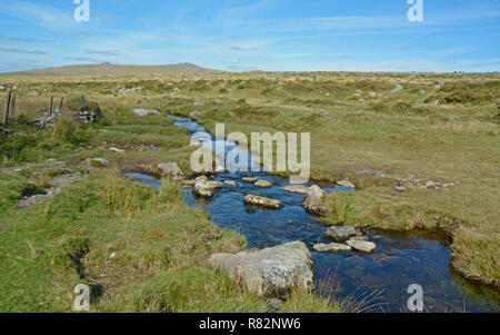 Longash Gemeinsamen in der Nähe von Merrivale, Dartmoor Stockfoto