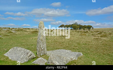 Standing Stone auf Longash Gemeinsamen in der Nähe von Merrivale, Dartmoor Stockfoto