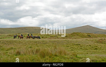 Pony Trekker über Zeitarbeit Sumpf, in der Nähe von Belstone, Dartmoor Stockfoto