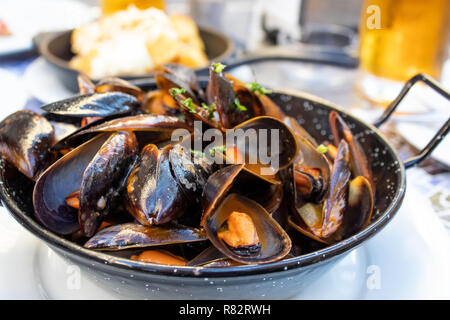 Muscheln in Tomatensauce serviert in der Pfanne Stockfoto