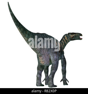 Iguanodon Dinosaurier Schwanz - Iguanodon war ein Pflanzenfresser ornithopoden Dinosaurier, die in Europa während der Kreidezeit lebten. Stockfoto