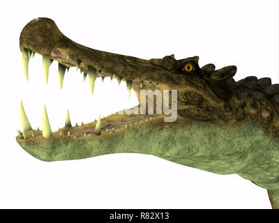 Kaprosuchus Reptile Kopf - Kaprosuchus war eine fleischfressende Krokodil, dass in Niger, Afrika während der Kreidezeit lebten. Stockfoto