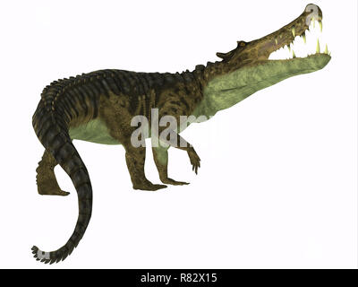 Kaprosuchus Reptile Schwanz - Kaprosuchus war eine fleischfressende Krokodil, dass in Niger, Afrika während der Kreidezeit lebten. Stockfoto