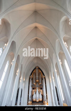 Im Inneren der Kathedrale Hallgrimskirkja, Reykjavik, Island Stockfoto