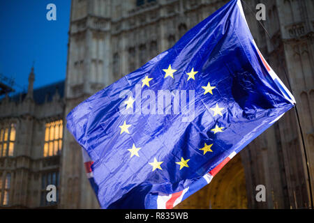 London, Großbritannien. 12. Dezember, 2018. Brexit Demonstranten vor den Häusern des Parlaments, 12. Dez 2018 Credit: George Cracknell Wright/Alamy leben Nachrichten Stockfoto