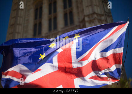 London, Großbritannien. 12. Dezember, 2018. Brexit Demonstranten vor den Häusern des Parlaments, 12. Dez 2018 Credit: George Cracknell Wright/Alamy leben Nachrichten Stockfoto