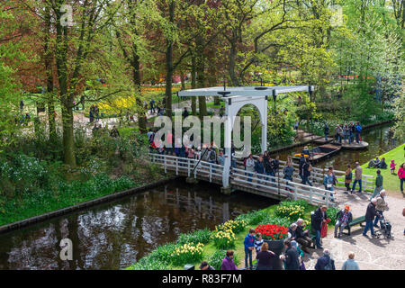 Hohe Aspekt der Besucher zu Fuß rund um die weltweit größte Glühbirne Blume Garten im Frühjahr (April 2018) im Keukenhof Lisse, Niederlande, Die Niederlande Stockfoto