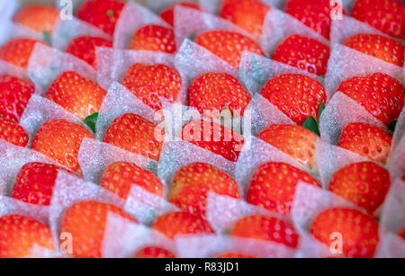 Rote reife Erdbeeren sind ordentlich in ein Geschenk, um das Auffällige Kunden geliefert gefaltet Stockfoto