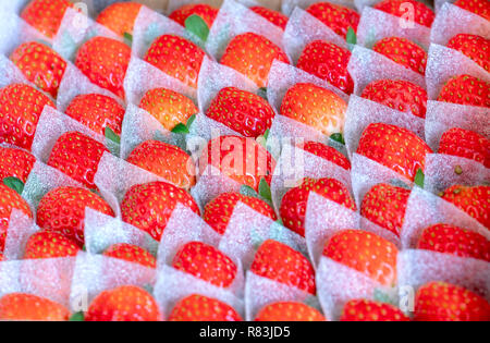 Rote reife Erdbeeren sind ordentlich in ein Geschenk, um das Auffällige Kunden geliefert gefaltet Stockfoto